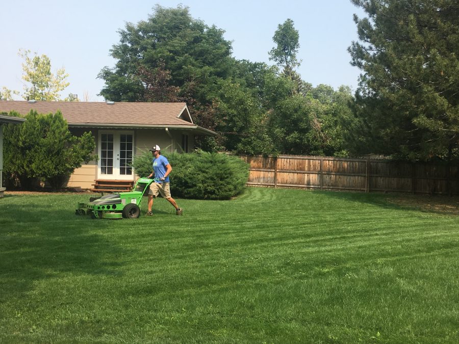 Sustainable Lawn Care Clean Air Lawn Care