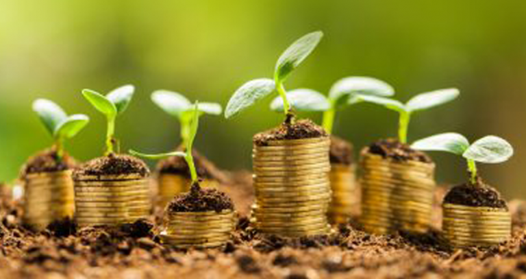 green entrepreneur