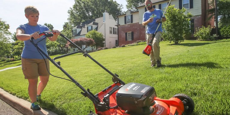 electrtic lawn mower