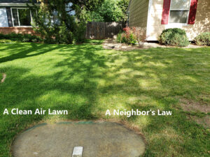 organic lawn care fort collins