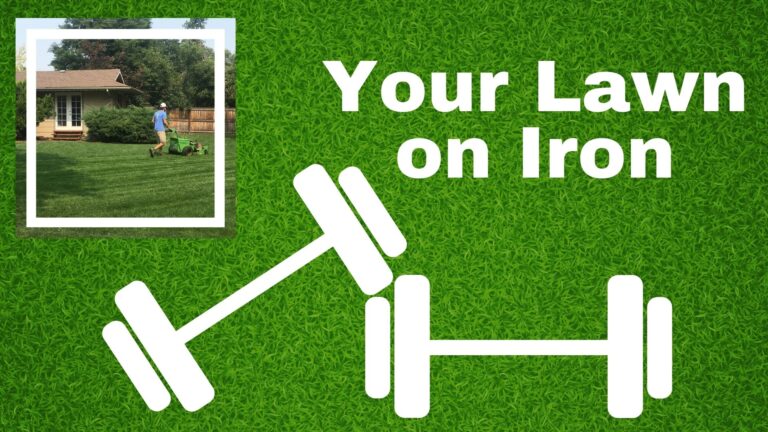 broadleaf weed killer - iron is best
