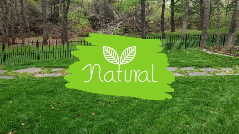 organic lawn weed killer