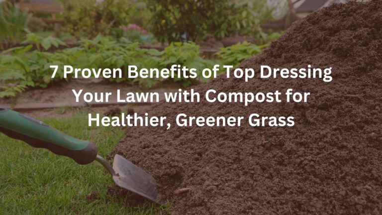 top dressing lawn care - compost