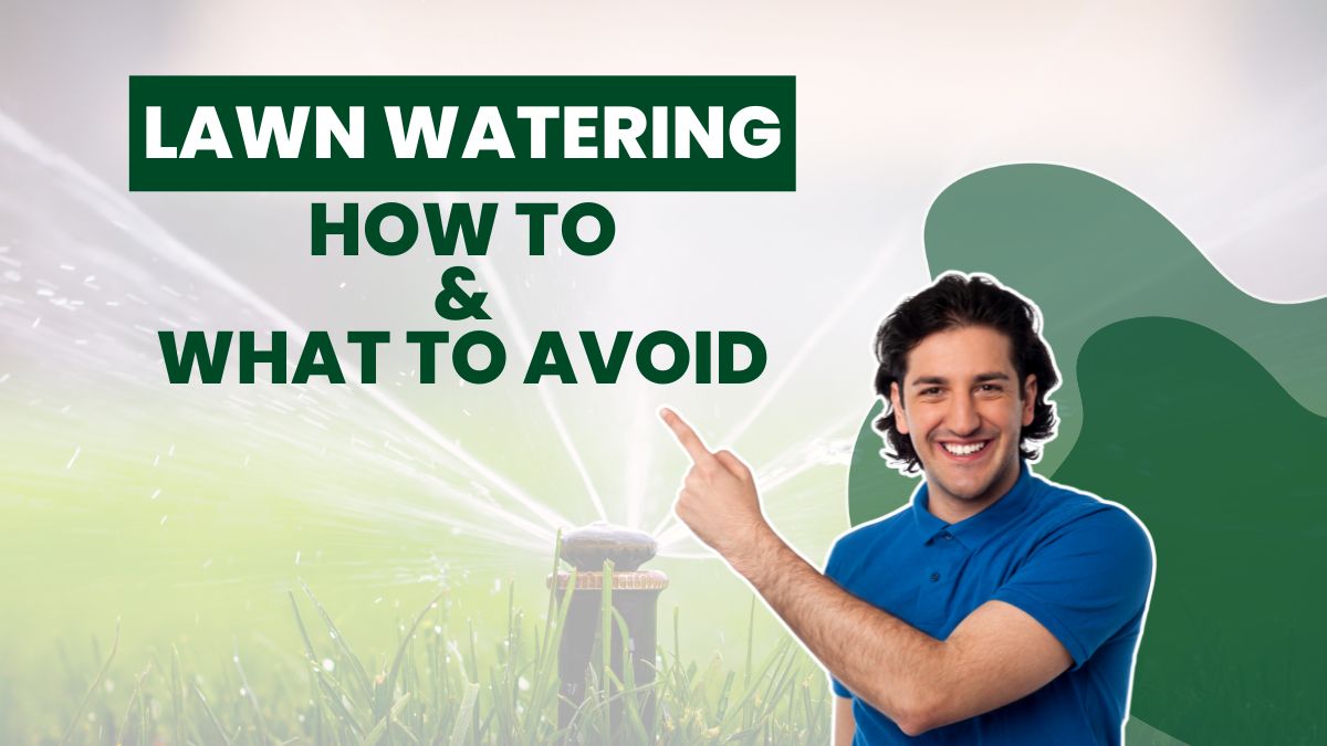 How Long To Water Grass? [Regional Watering Schedule & Tips]