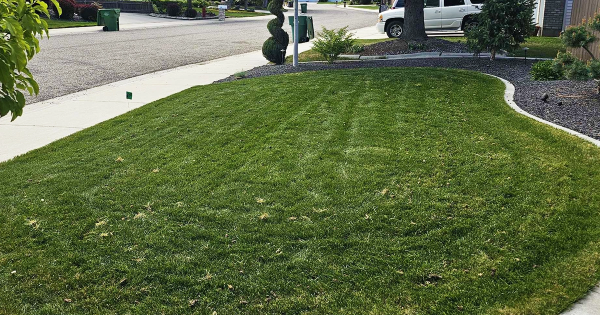 Boise, Idaho | Organic Lawn Service 1 eco friendly lawn care service Boise, Idaho