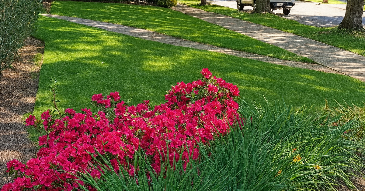 eco-friendly pet safe lawn care service Portland, OR