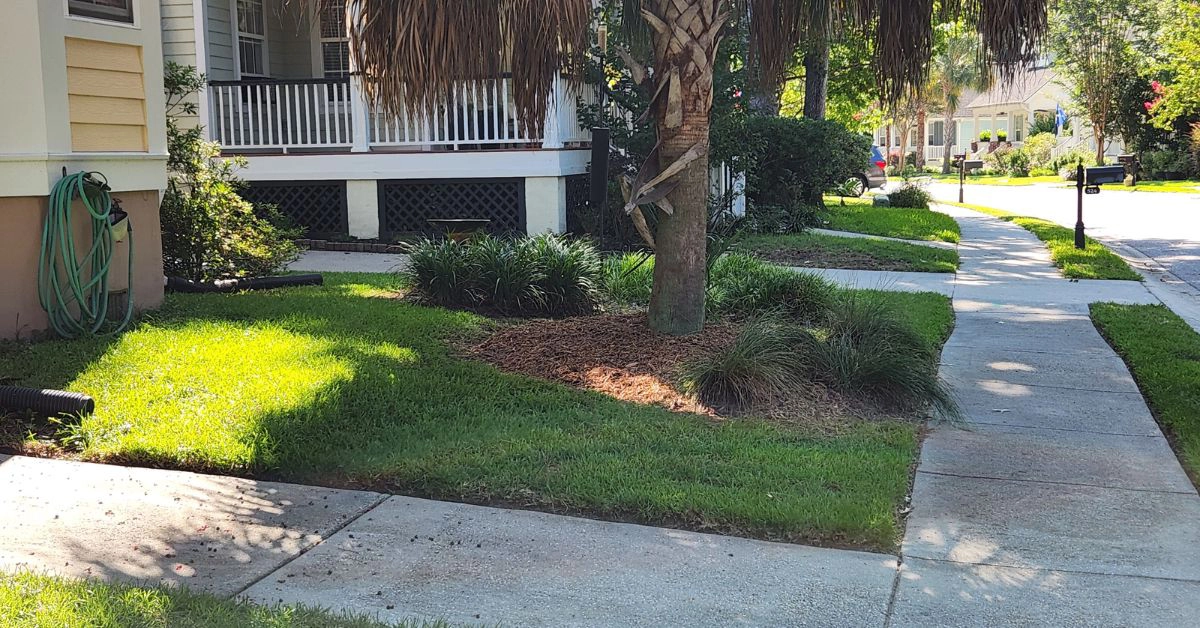 Charleston, South Carolina | Organic Lawn Service 1 West Ashley and Charleston, SC eco-friendly lawn care services