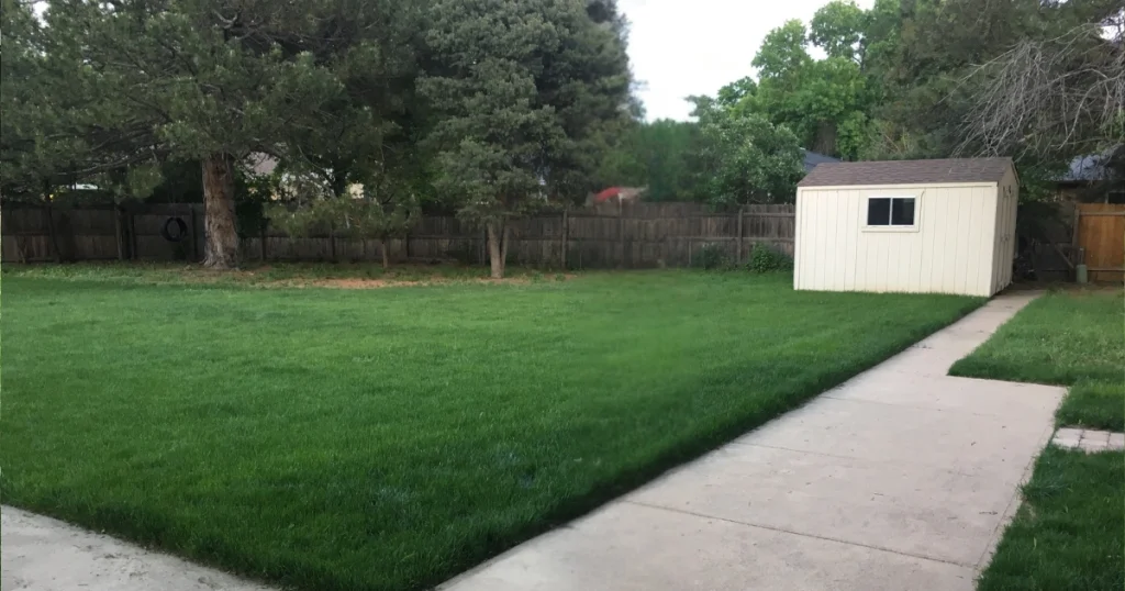 Northern Colorado Organic Lawn Care