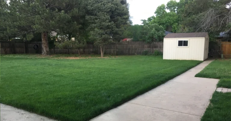 Northern Colorado Organic Lawn Care