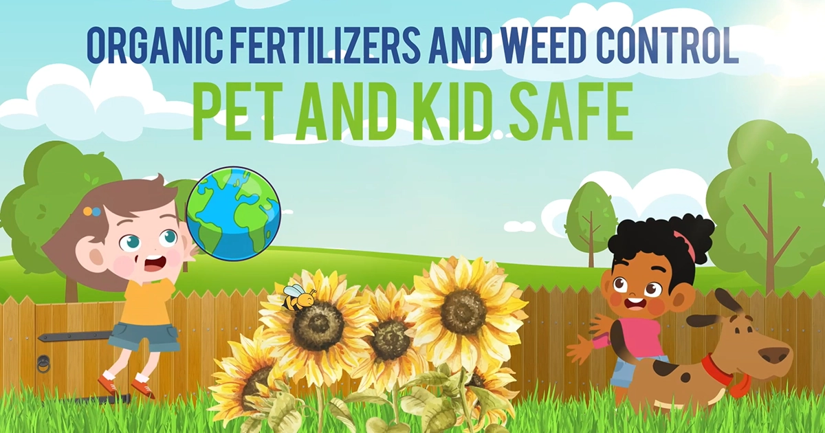 Our Healthy Lawn Program 1 Organic Fertilizers and weed control safe for kids and pets