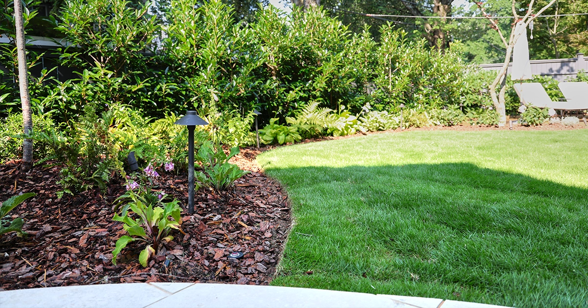 Johns Creek, Georgia | Organic Lawn Service 1 Johns Creek organic and eco friendly lawn care