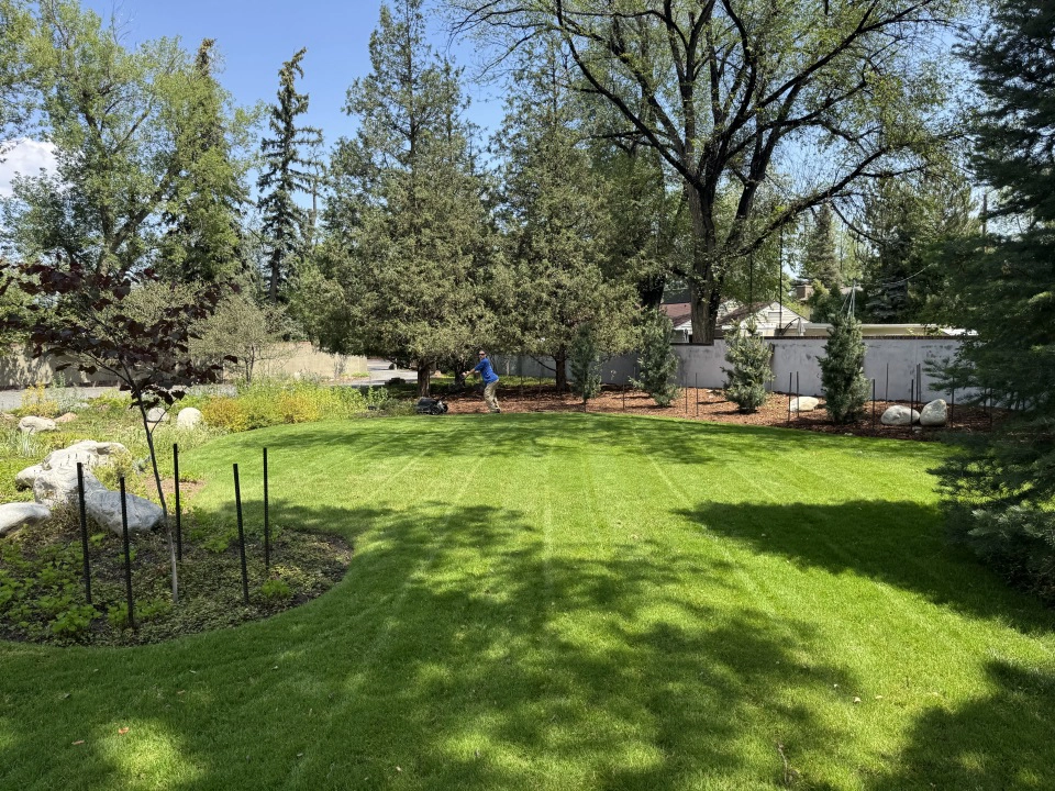 Longmont, CO | Organic Eco-Friendly Lawn Service 1 Longmont, CO organic lawn care service