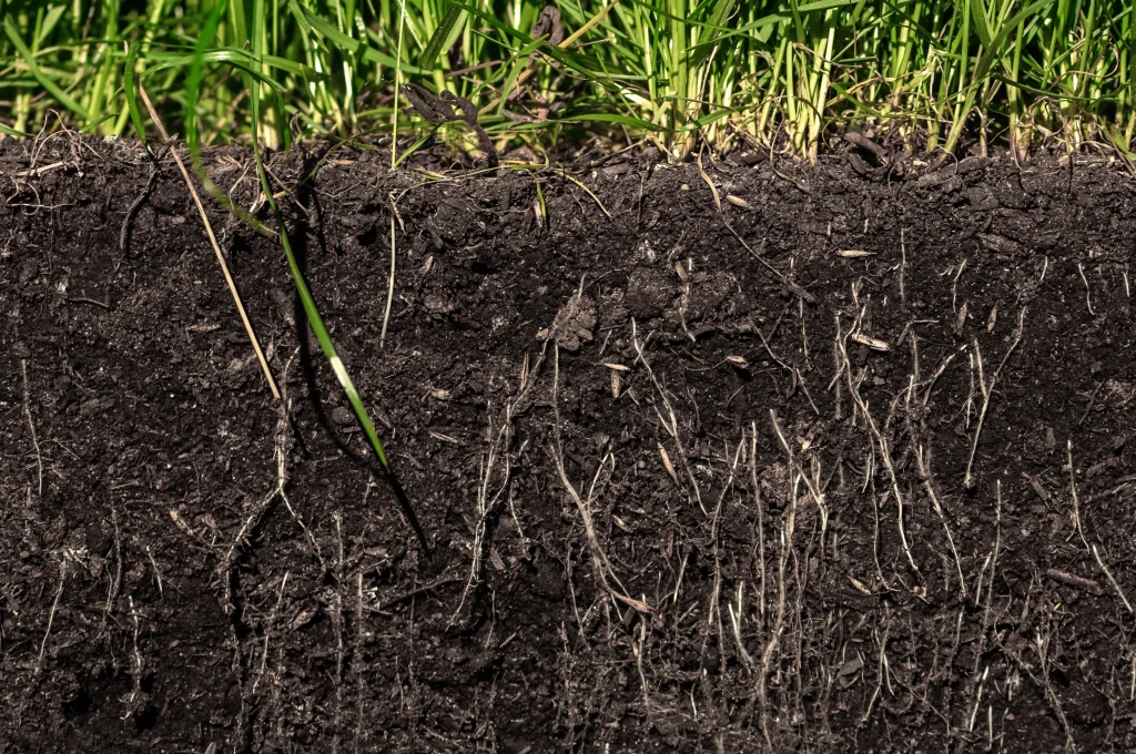 Should I Test My Soil Before Treating My Lawn? 1 Should I get a soil test before treating my lawn