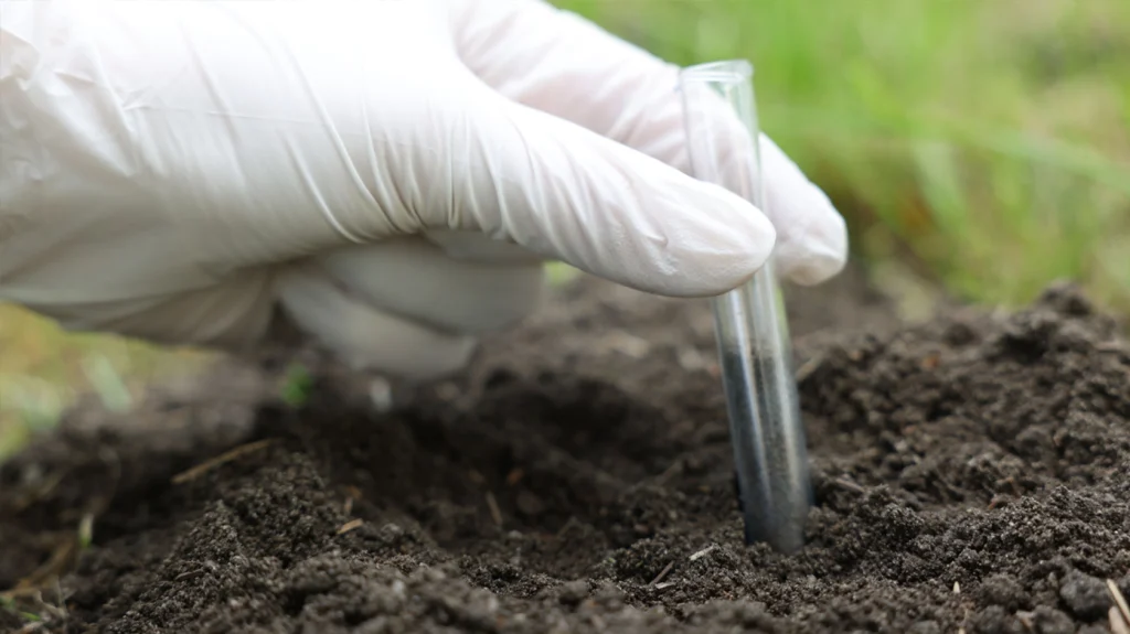 Do I Need to Test My Soil Before Fall Treatments