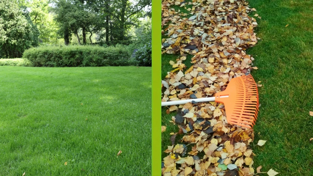 Fall Lawn Care vs. Summer Lawn Care in Colorado