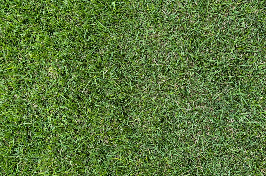 How do I care for my lawn after aeration and overseeding