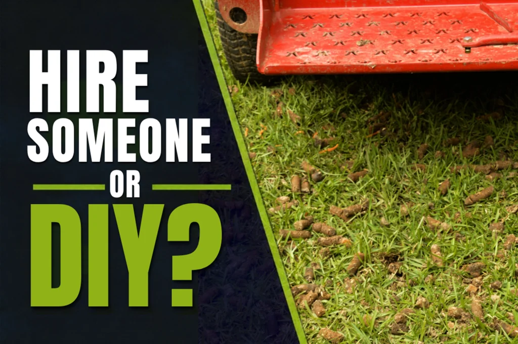 Should I Hire Someone for Aeration and Overseeding, or Do It Myself