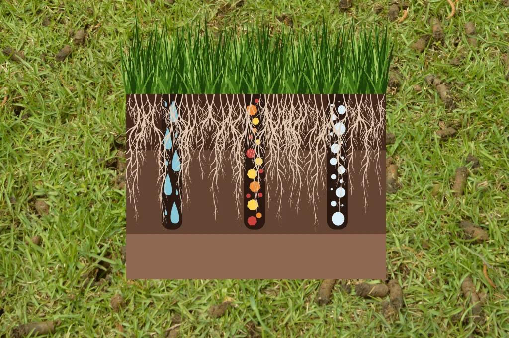 What Actually Happens During Core Aeration