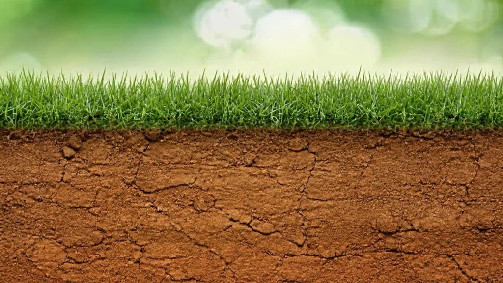 compacted soil in fort collins colorado lawn