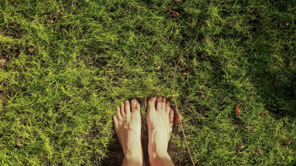 fix bare or thin spots in my lawn before winter sets in