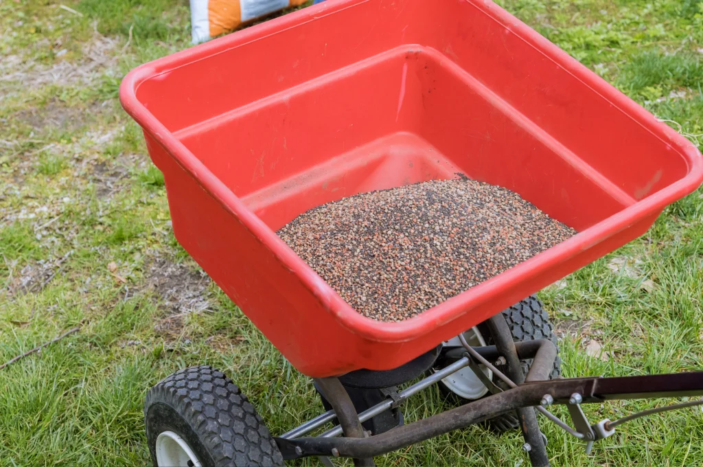 why fall overseeding matters for colorado lawns